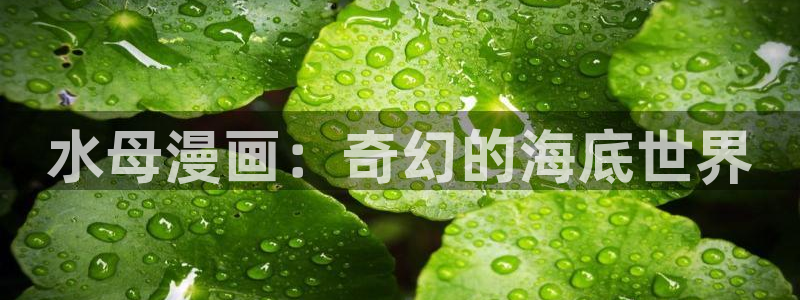 漫画韩漫《家》