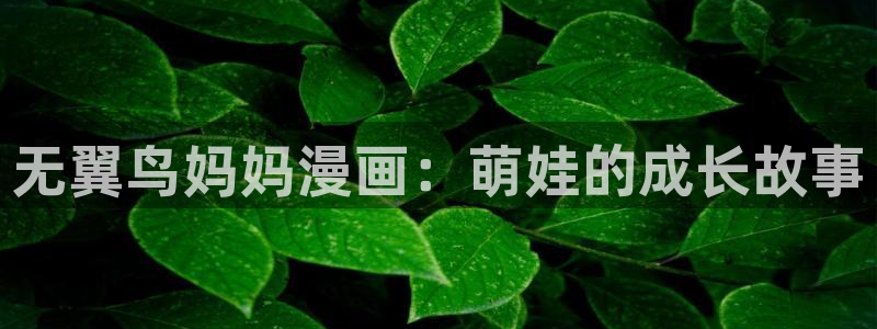 妈妈的朋友韩漫在线观看