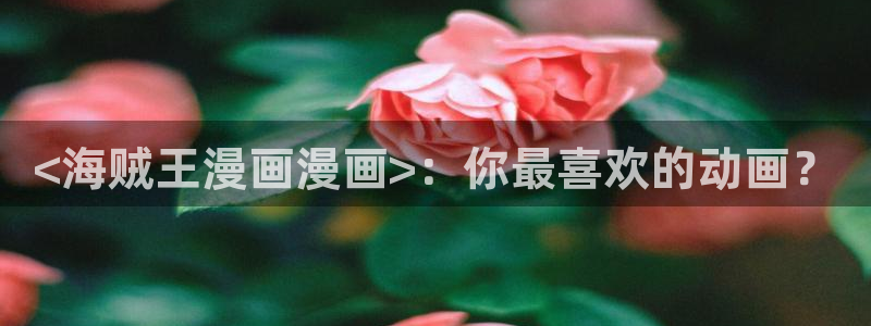 无删减韩漫在线看：<海贼王漫画漫画>：你最喜欢的动画？