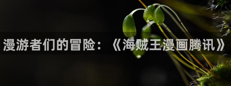 韩漫在线网站免费