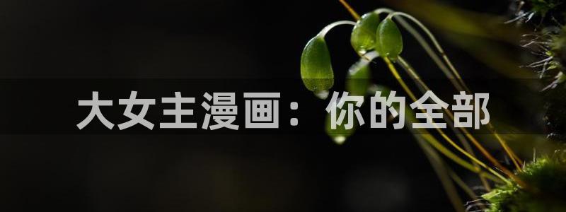 歪歪漫画韩漫网