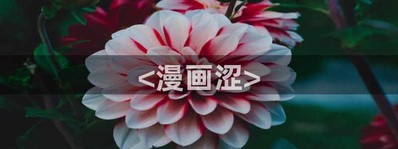 韩漫网站gayrb