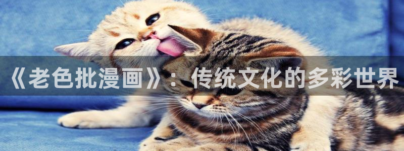 安慰剂韩漫漫画下拉式