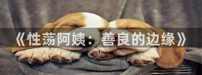 看韩漫画免费软件