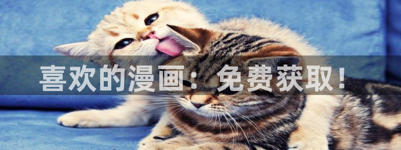 ruthless韩漫漫画免费全集