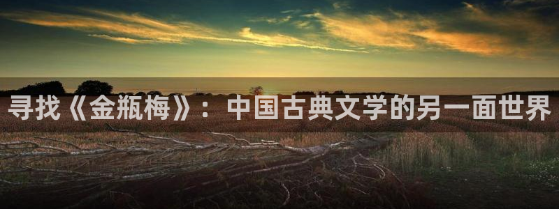 韩漫日漫在线观看：寻找《金瓶梅》：中国古典文学的另一面世界